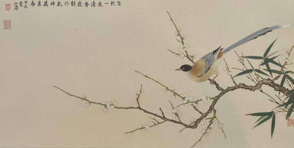 梅竹灰雀缩略图