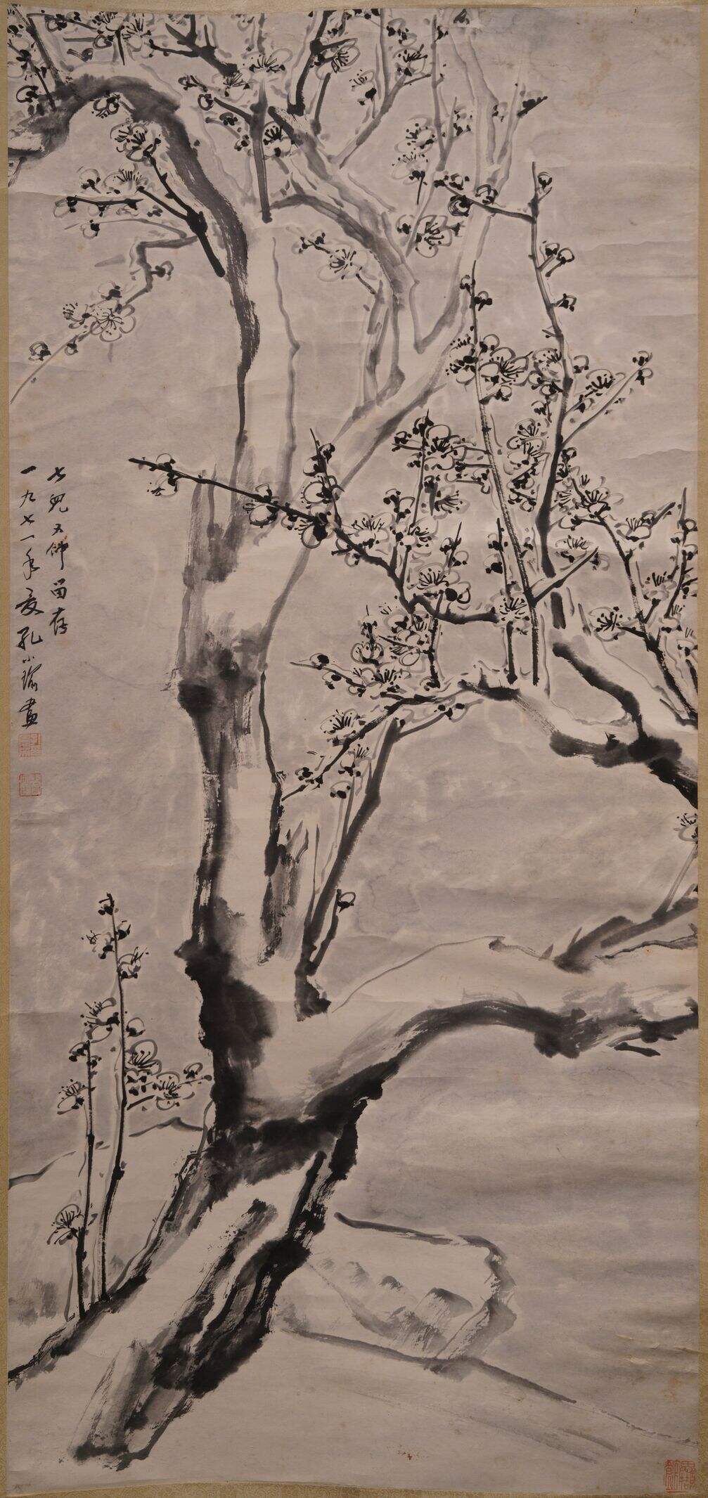 梅花缩略图