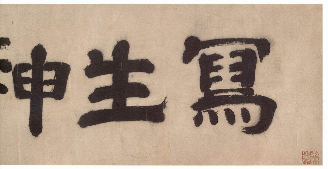 花卉图缩略图