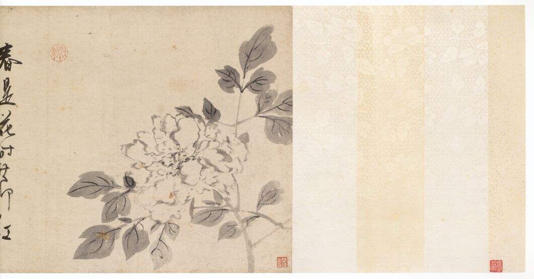 花卉图缩略图