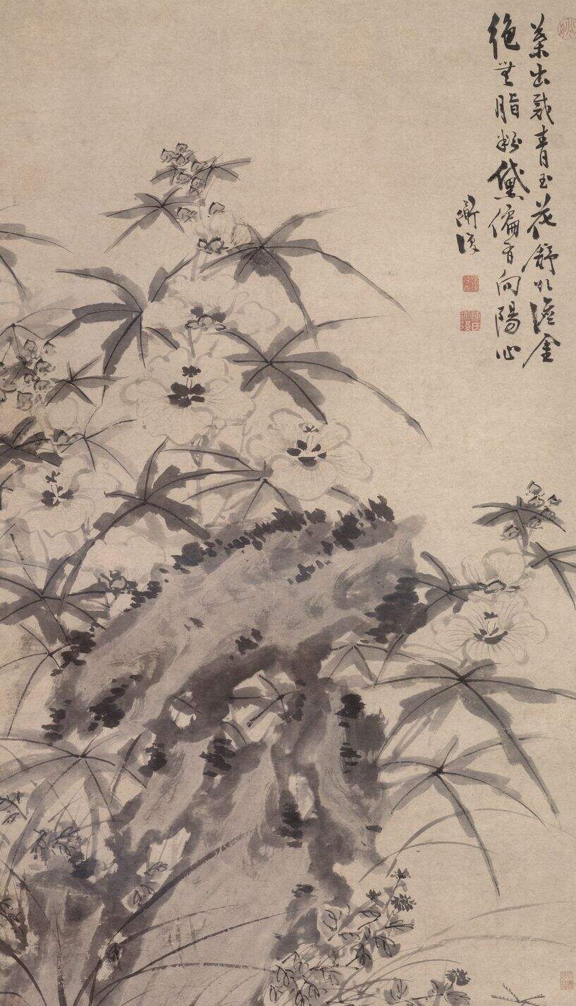 葵石图缩略图