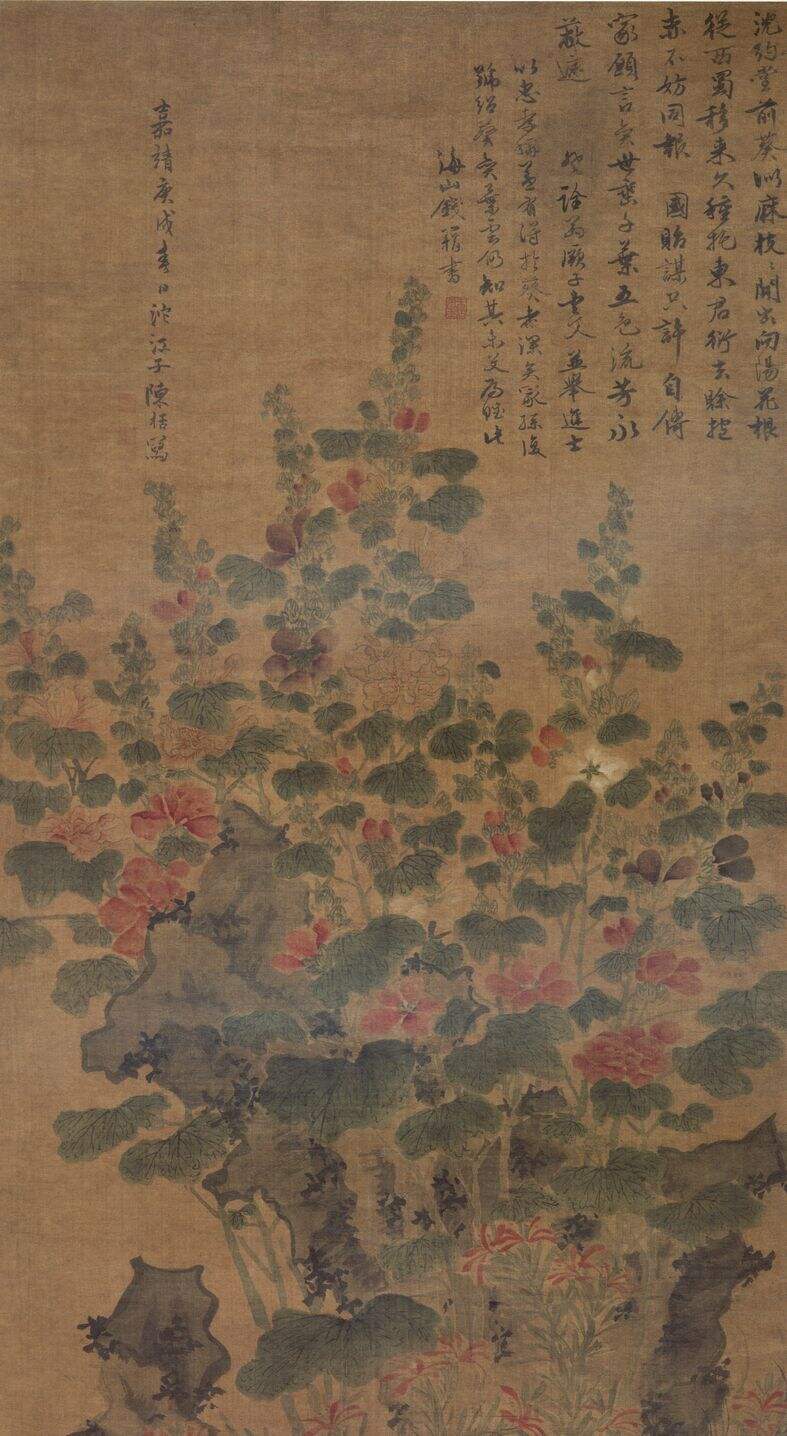 蜀葵图缩略图