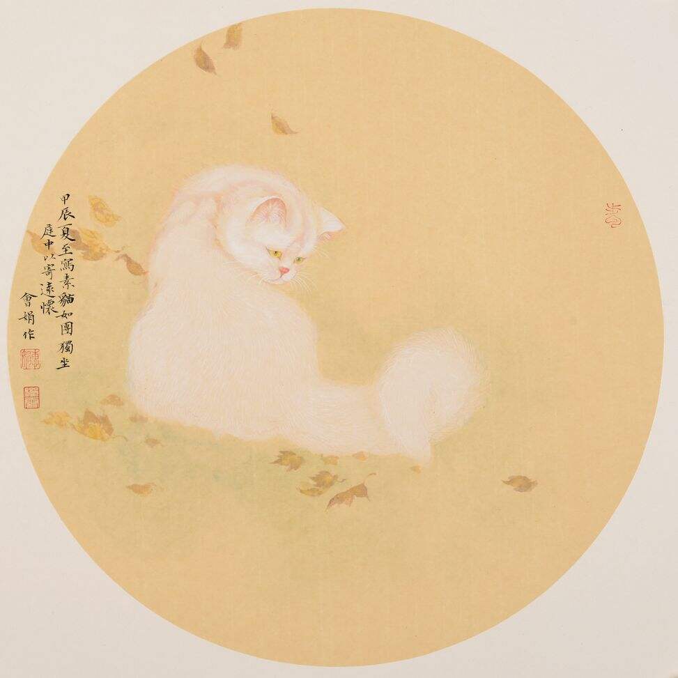 猫缩略图