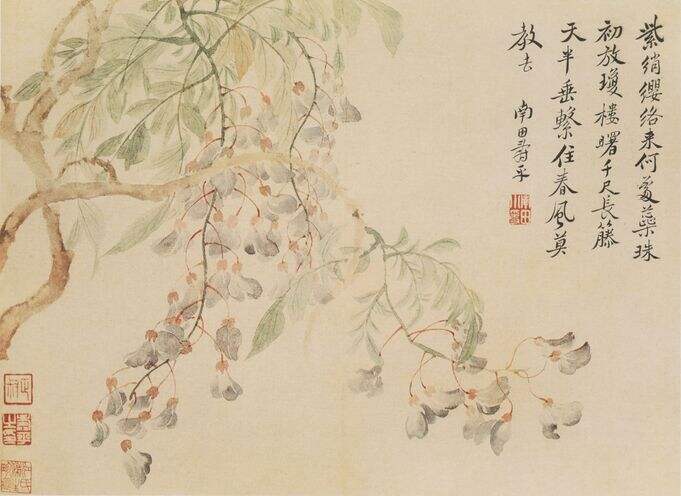 写生花卉册十开缩略图