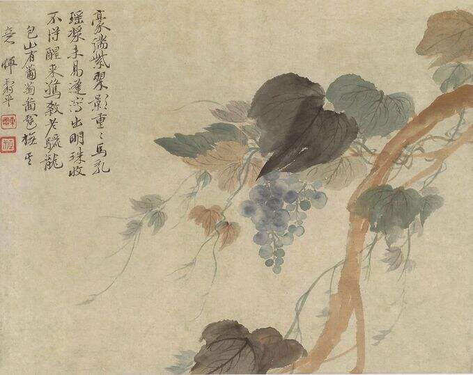 果蔬图册二开缩略图