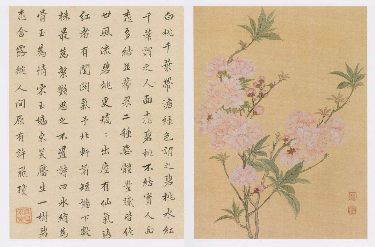 花卉册八开缩略图