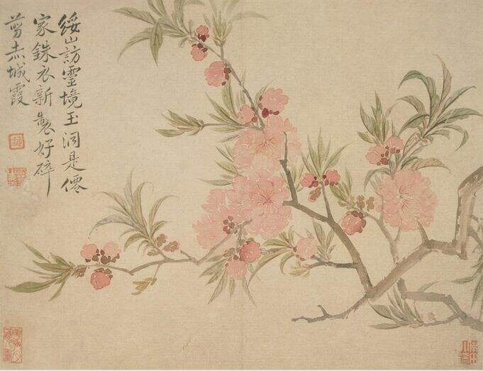 花卉竹石图册缩略图