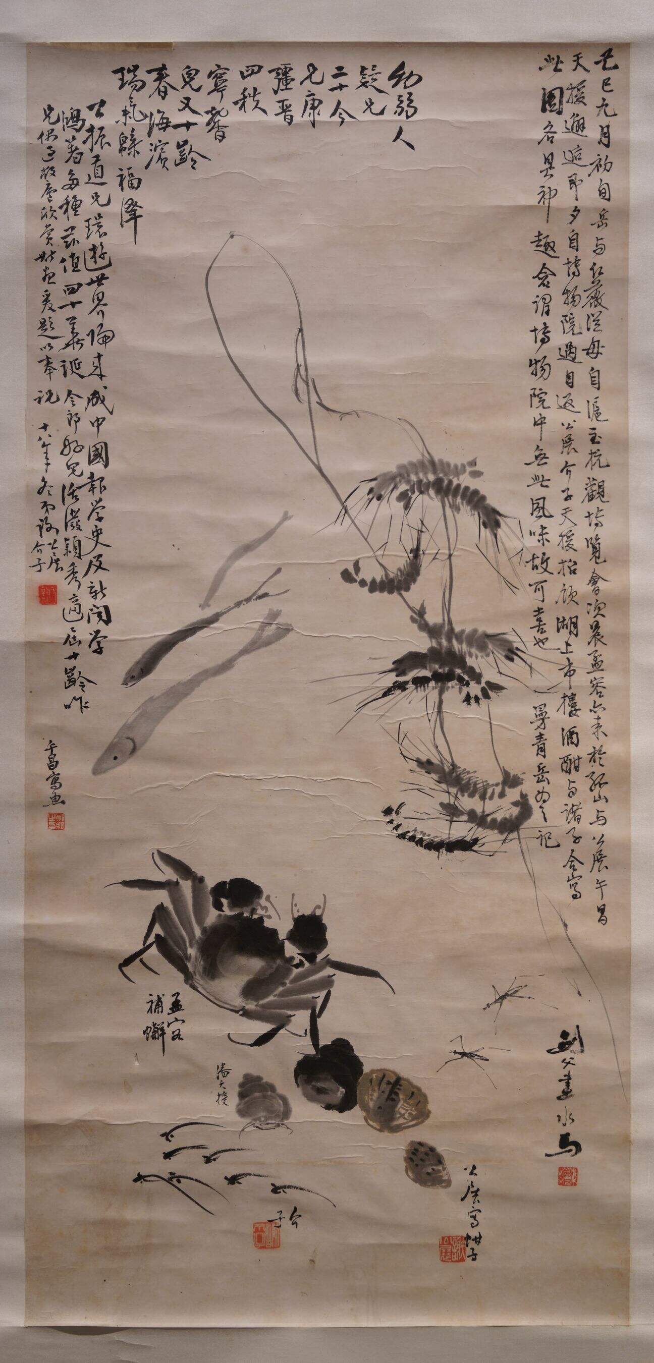 水族图缩略图