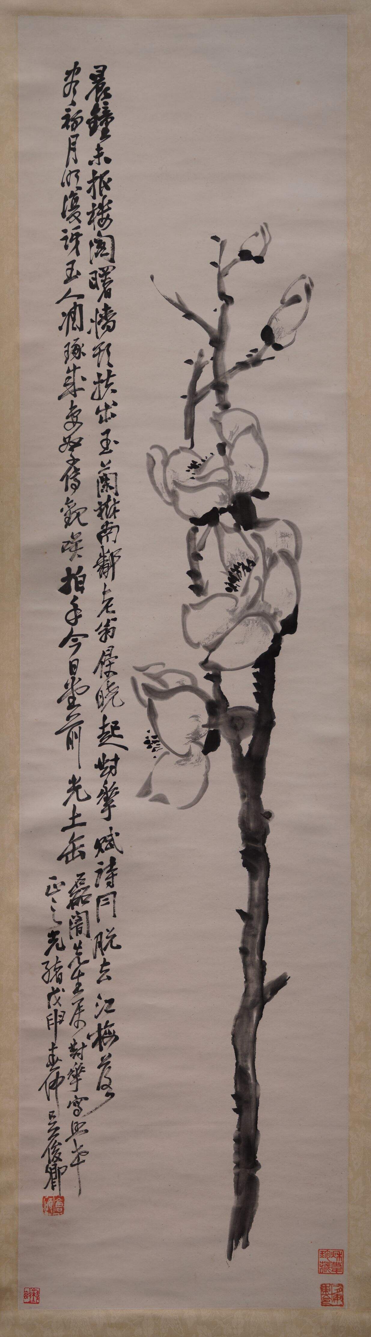 玉兰图缩略图