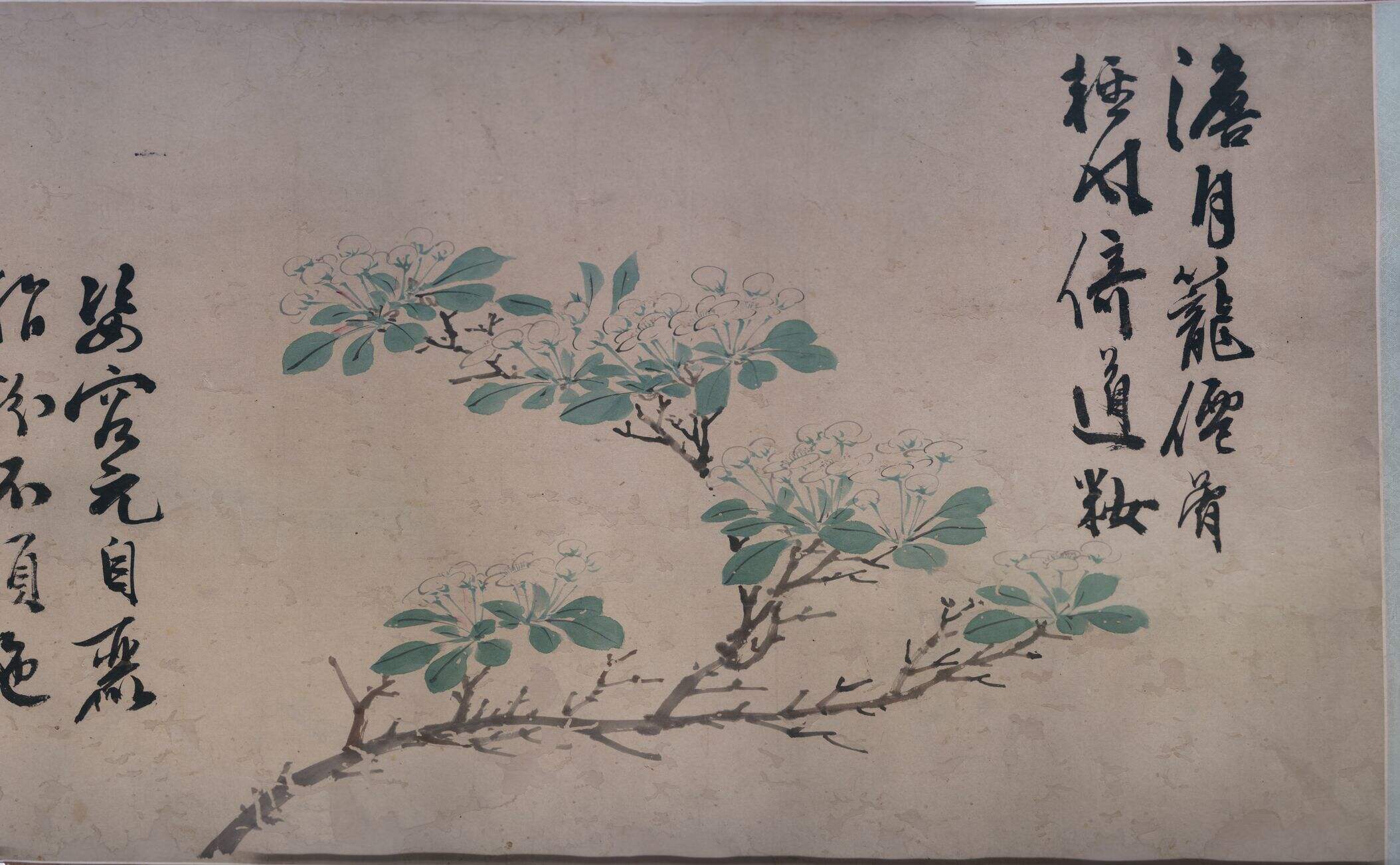 观物之生四季花卉图缩略图