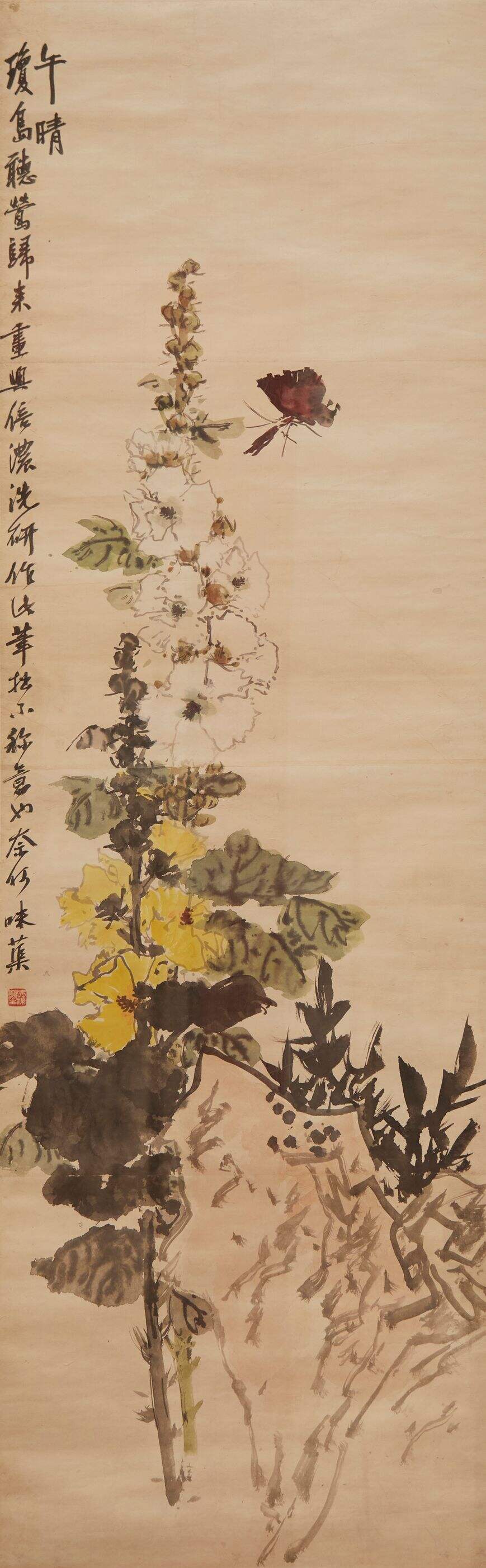 蜀葵蝴蝶缩略图