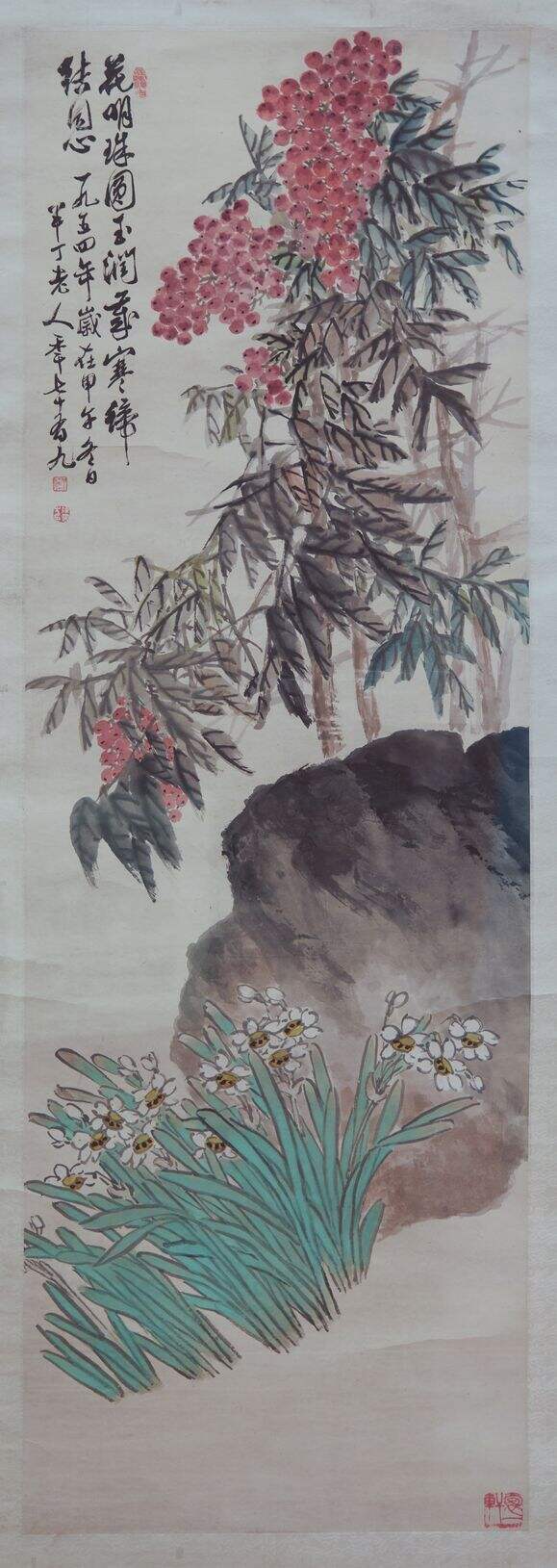 天竹水仙缩略图