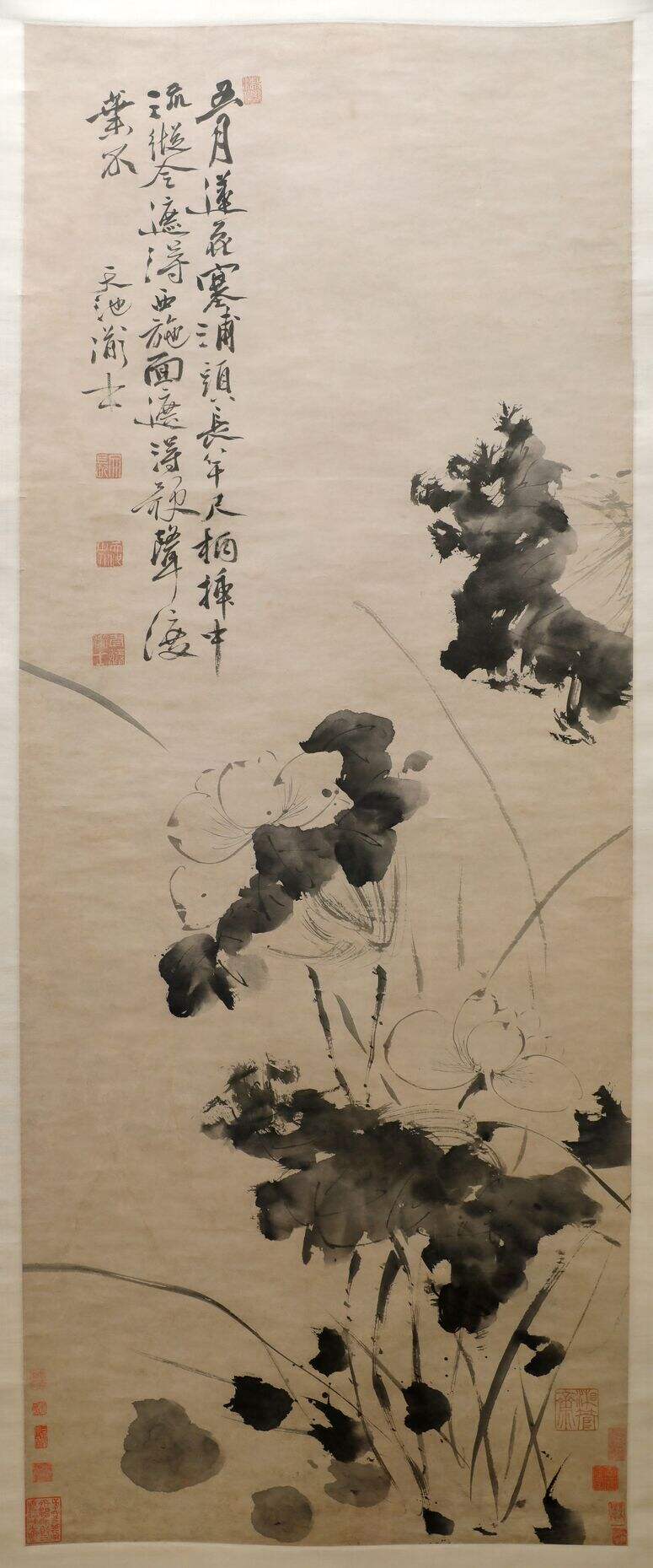 五月莲花图轴缩略图