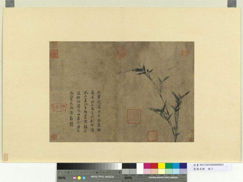 画竹缩略图