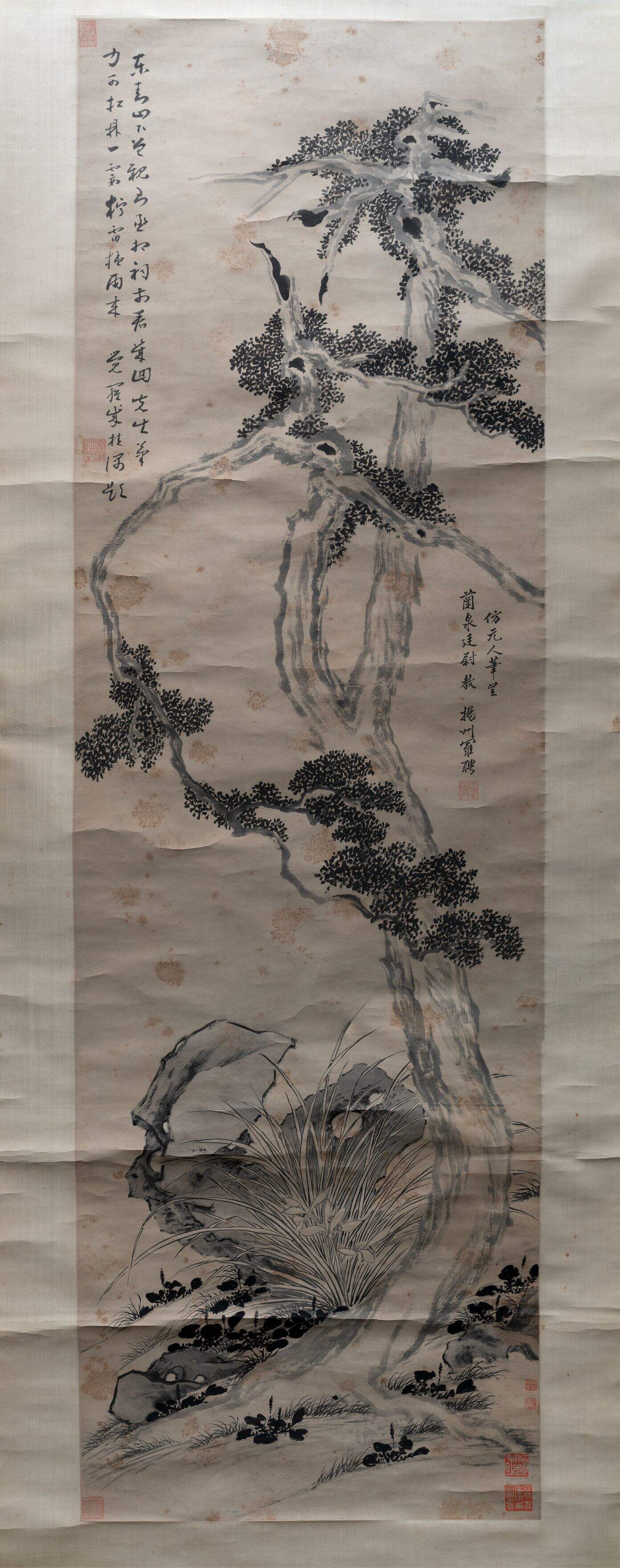 古柯图缩略图
