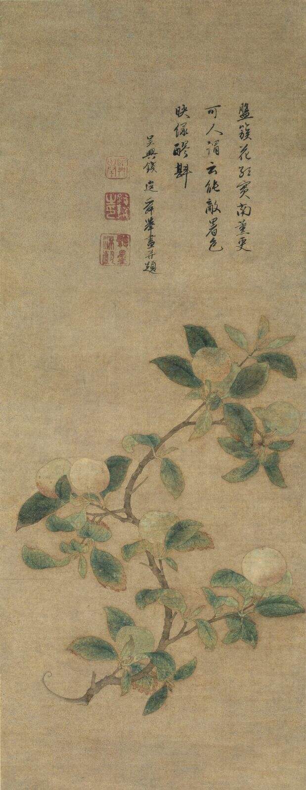 林檎图缩略图