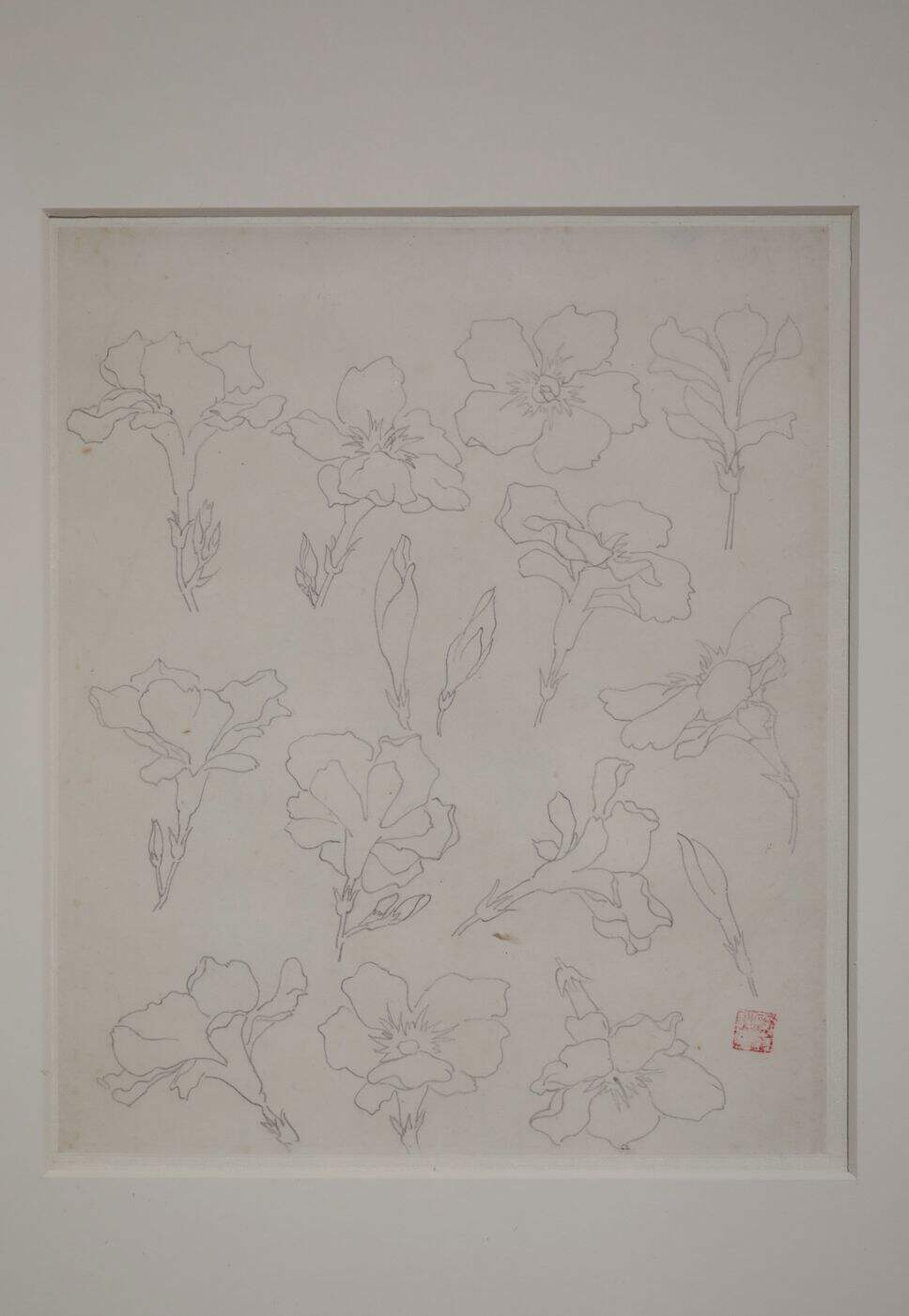 铅笔花朵缩略图