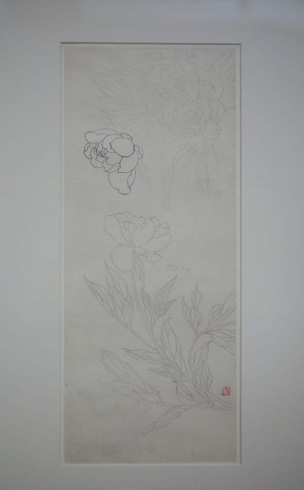 铅笔牡丹缩略图
