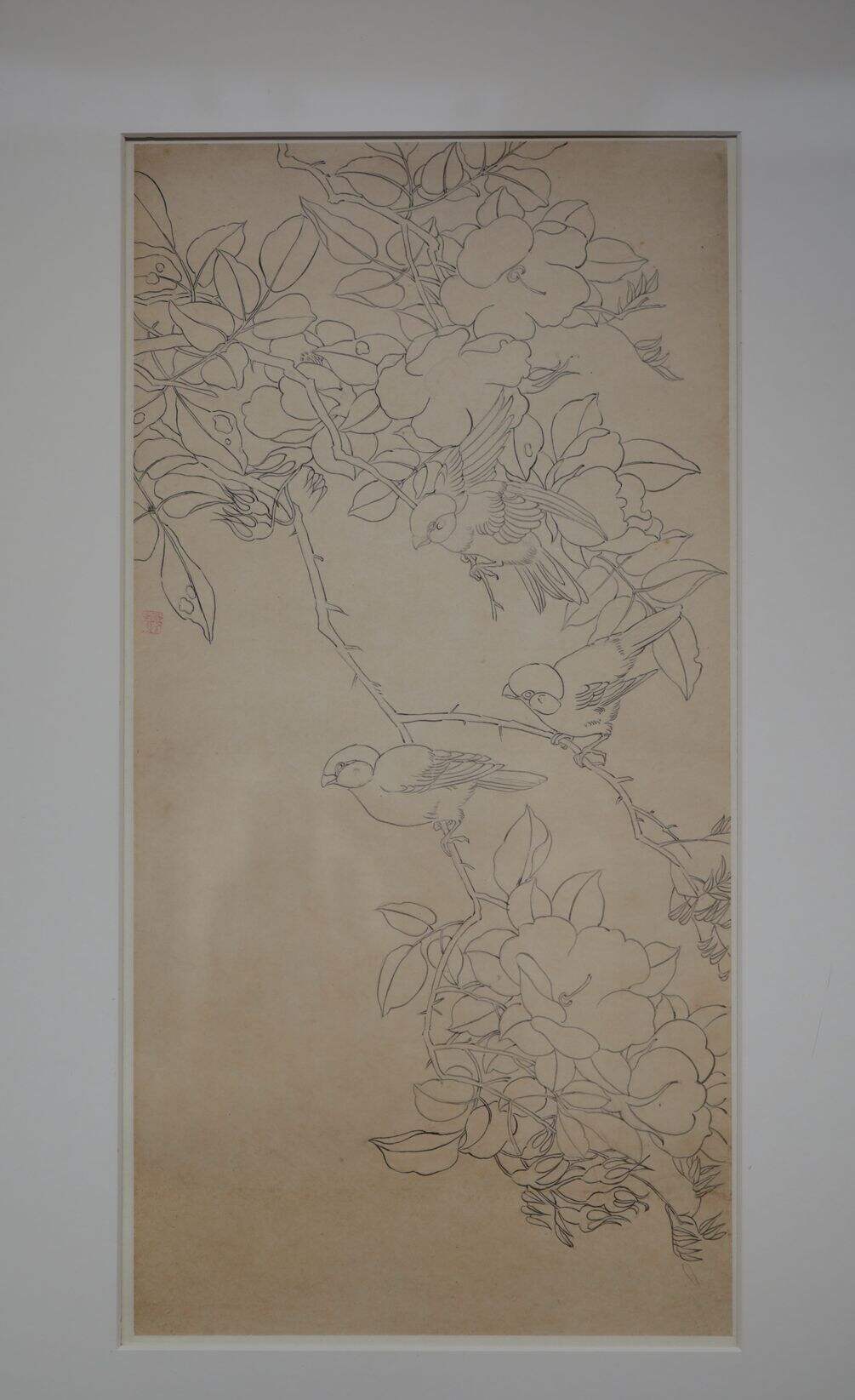 铅笔茶花三雀缩略图
