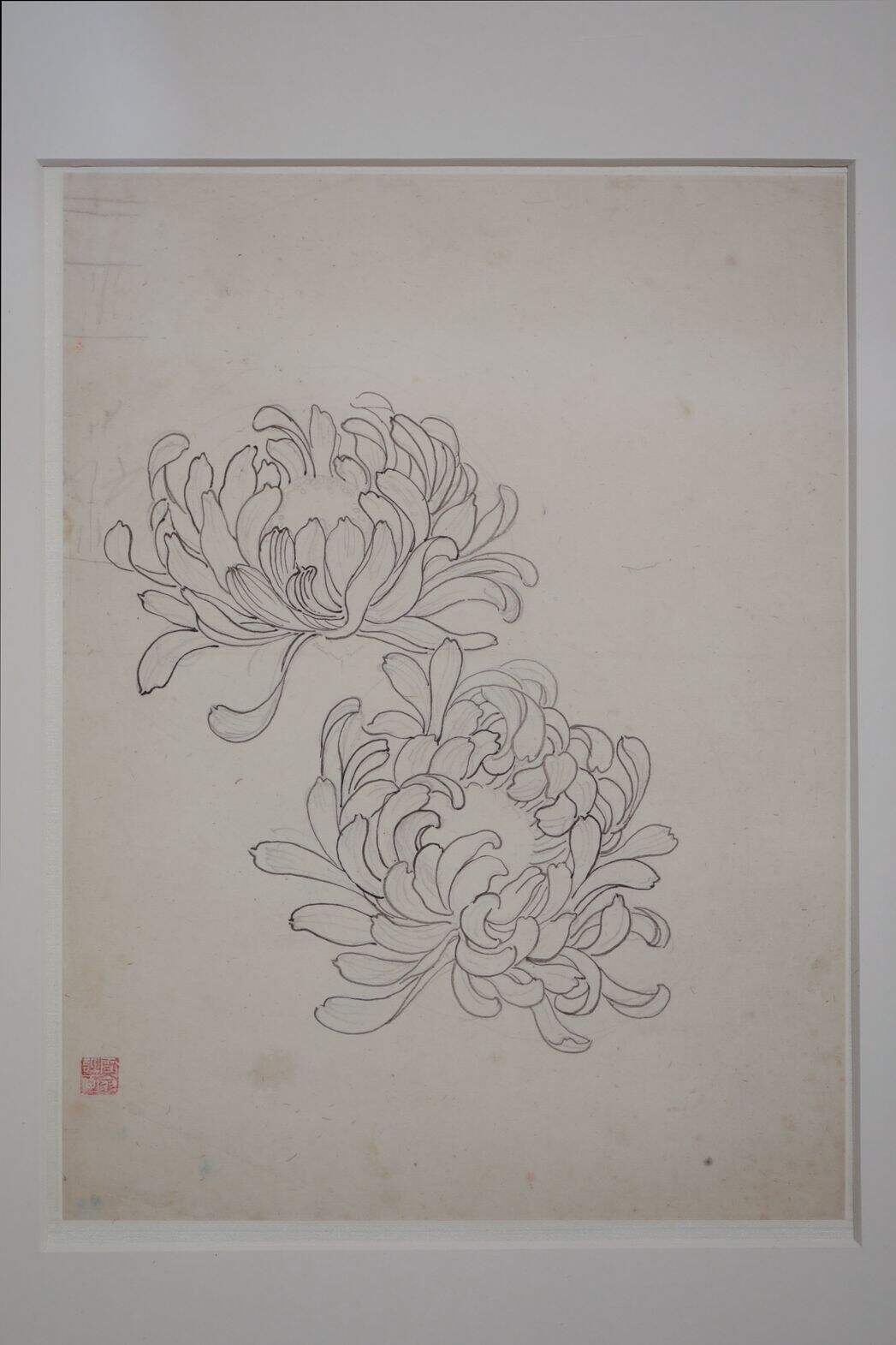 铅笔菊花缩略图