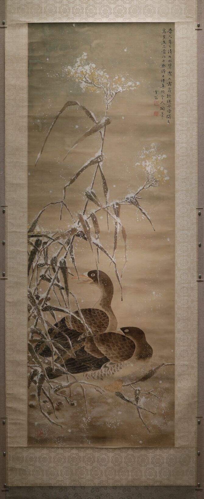 雪雁缩略图