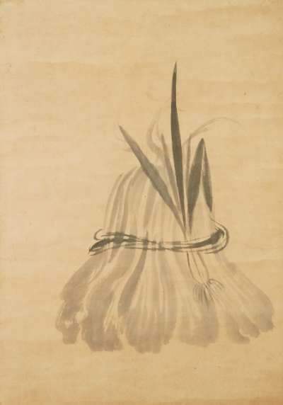 白菜图缩略图