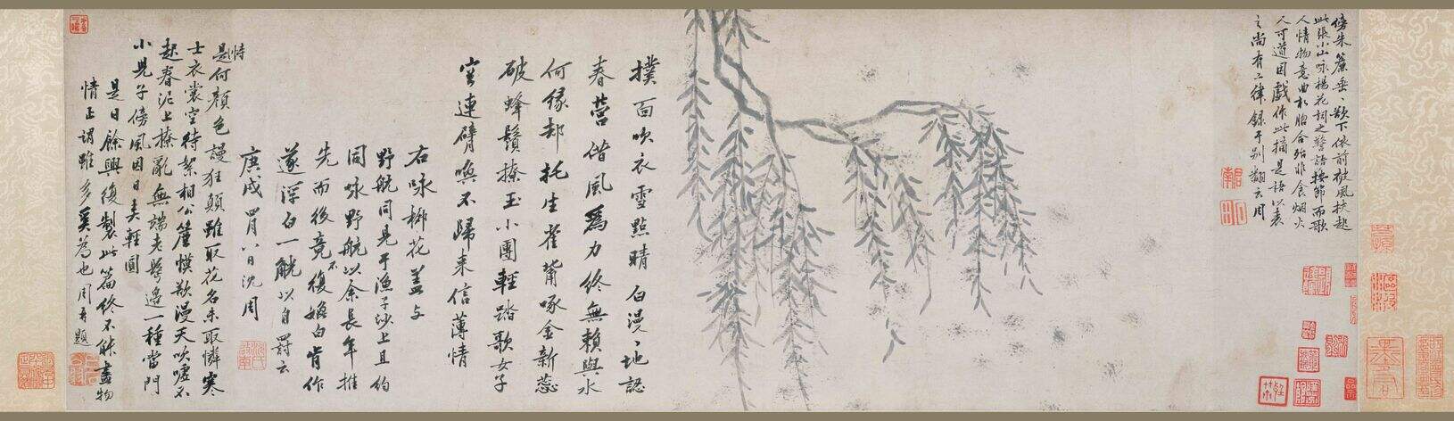 杨花图缩略图