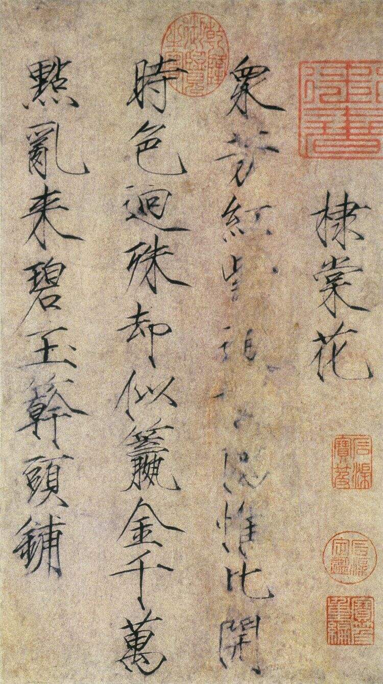 棣棠花缩略图