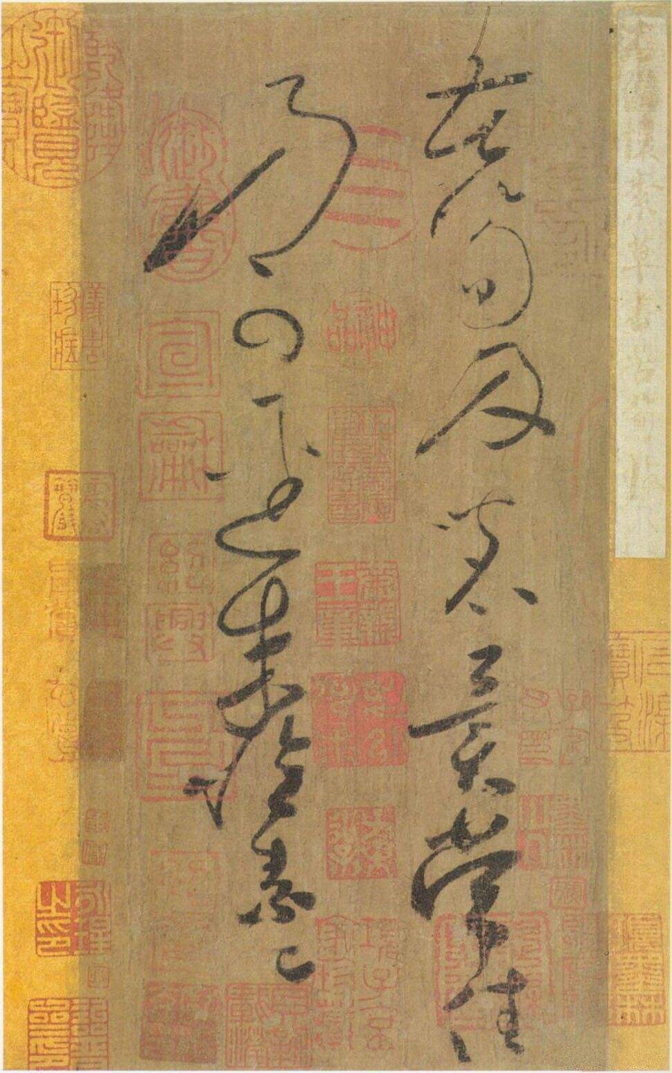 苦笋帖缩略图