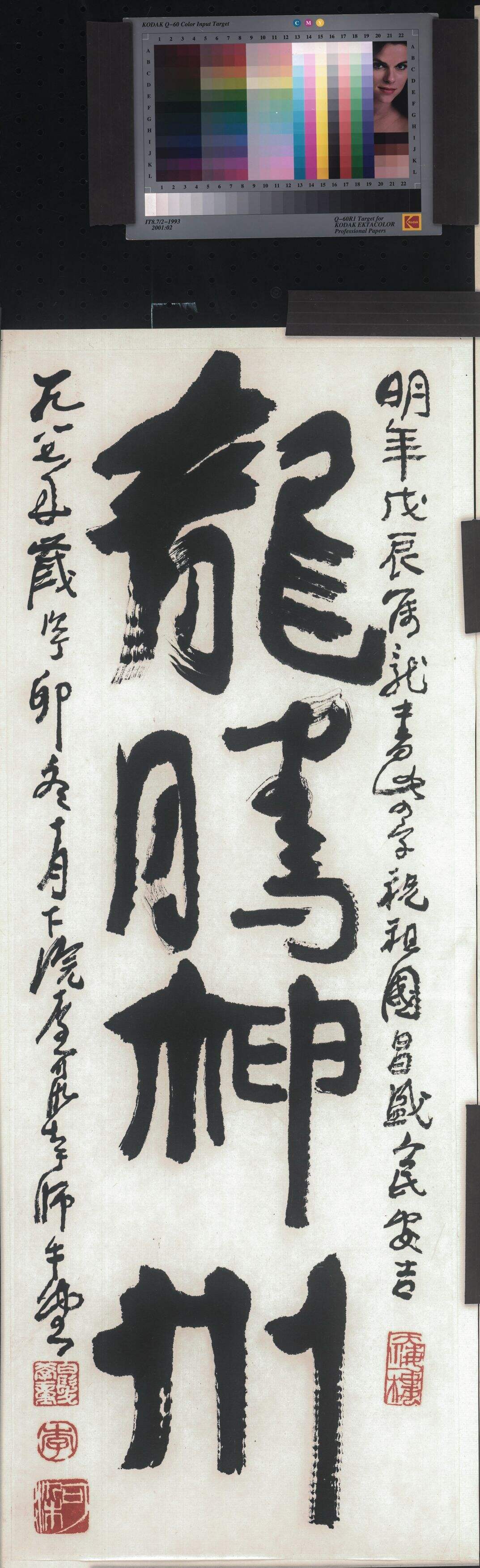 龙腾神州缩略图
