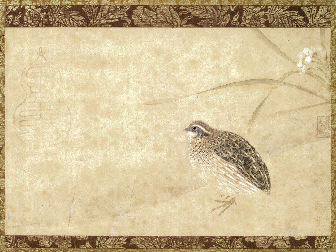 水仙鹑图缩略图