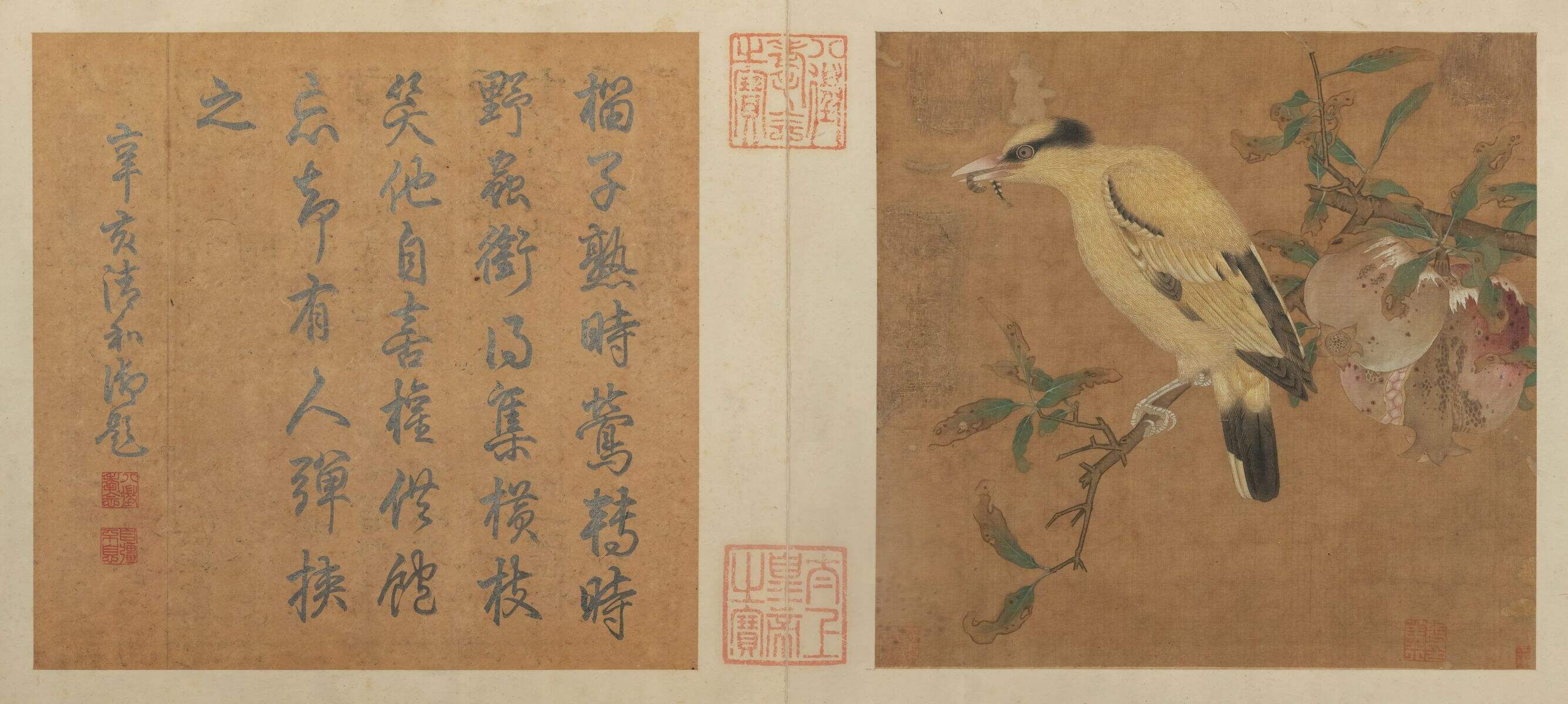 榴枝黄鸟图缩略图