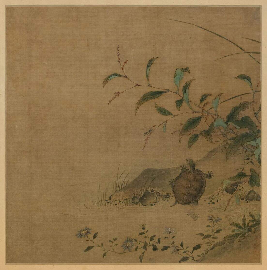 蓼龟图缩略图