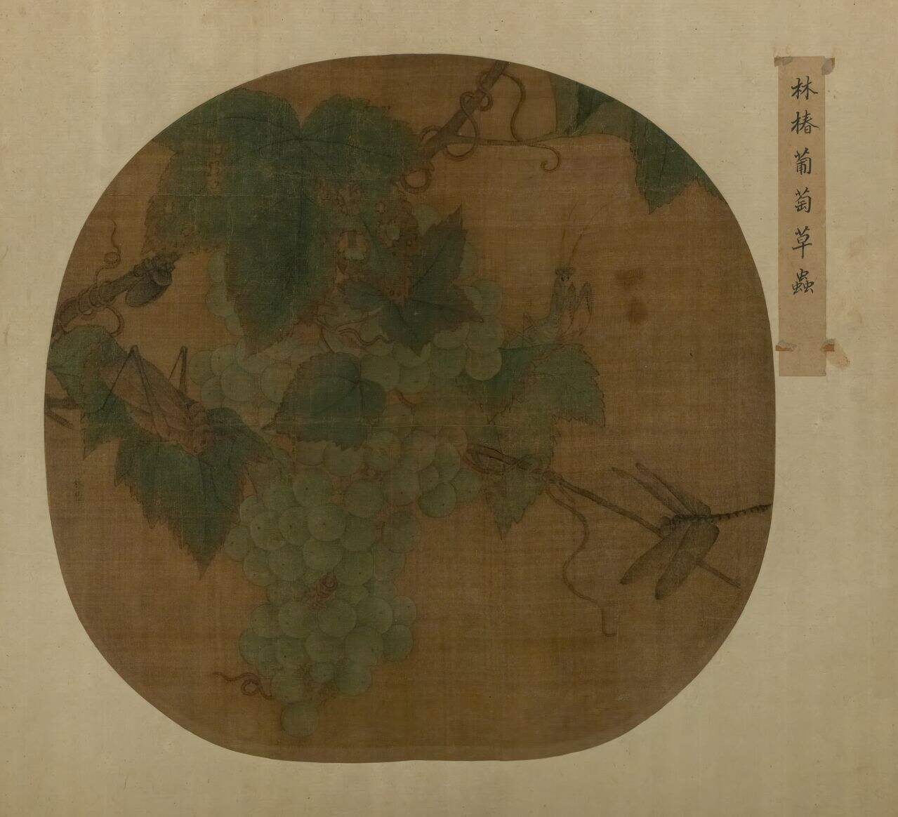 葡萄草虫图缩略图