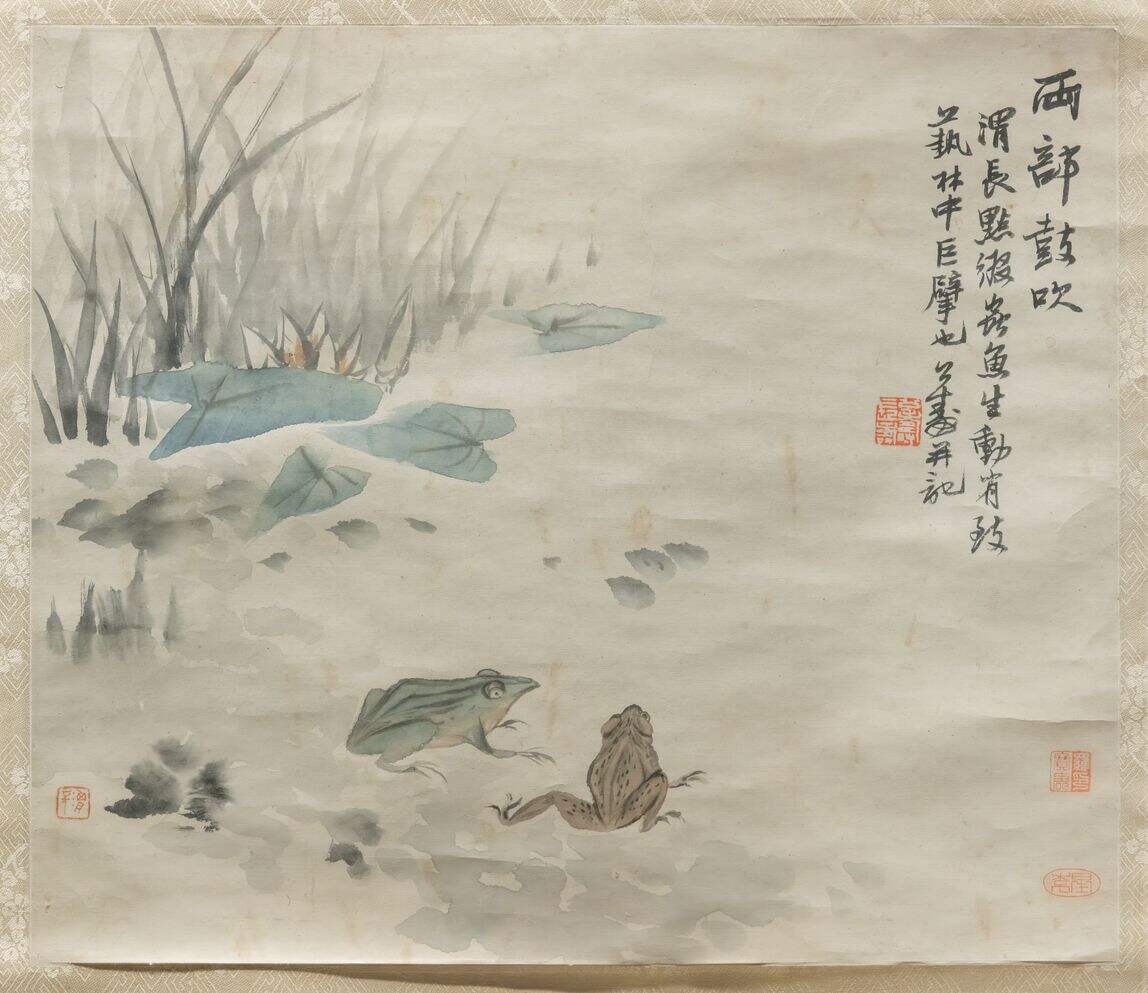 青蛙图缩略图
