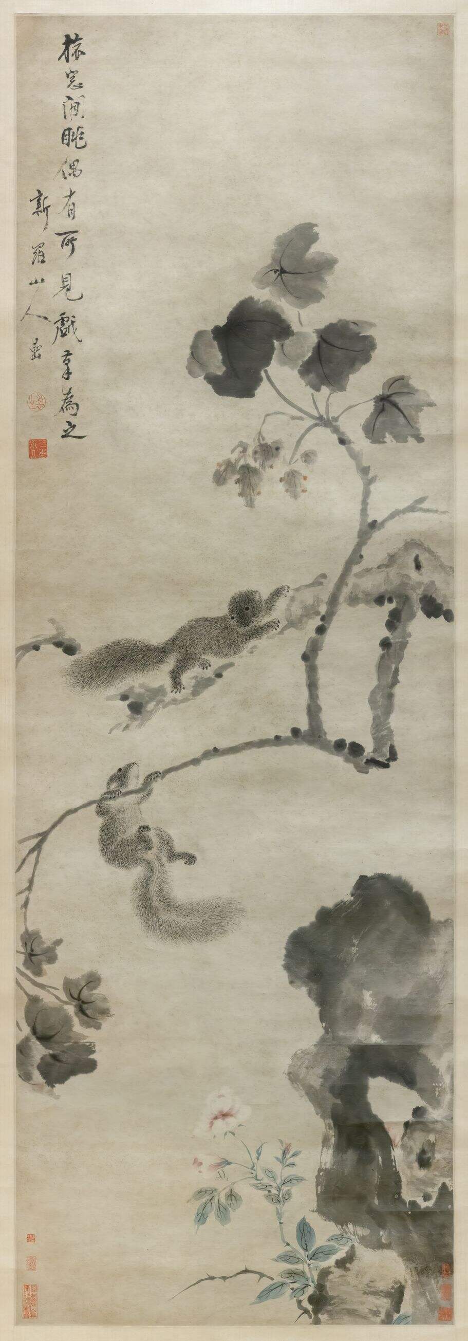 梧桐栗鼠图缩略图