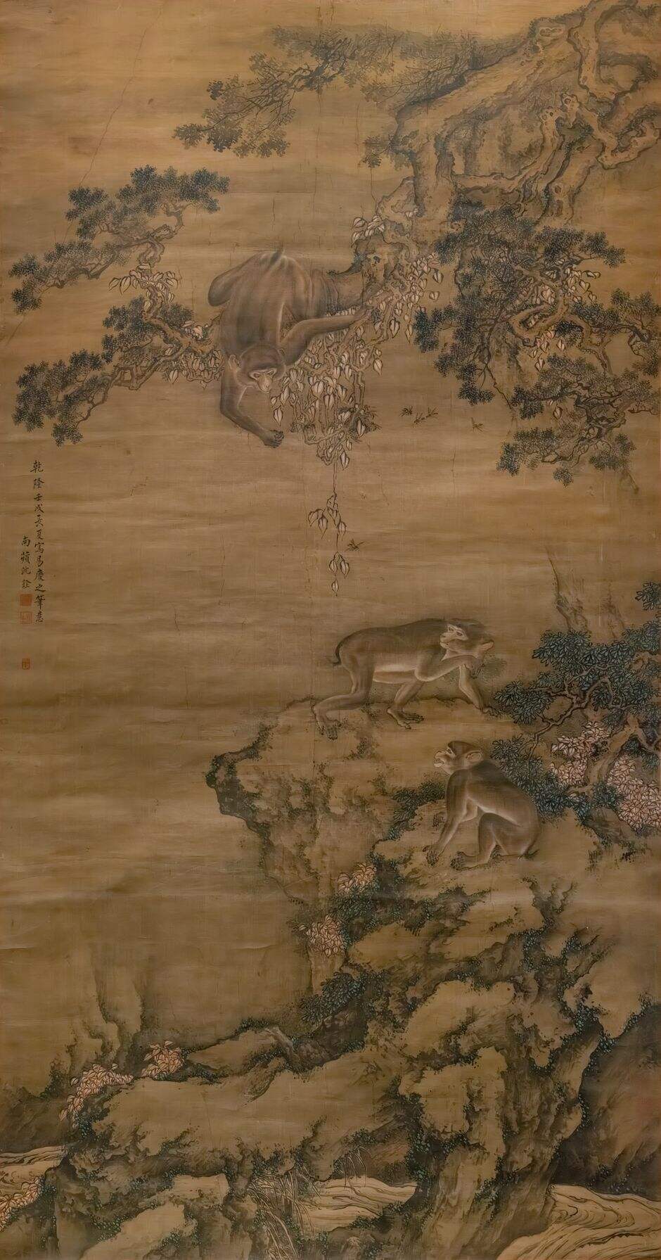 蜂猴图缩略图