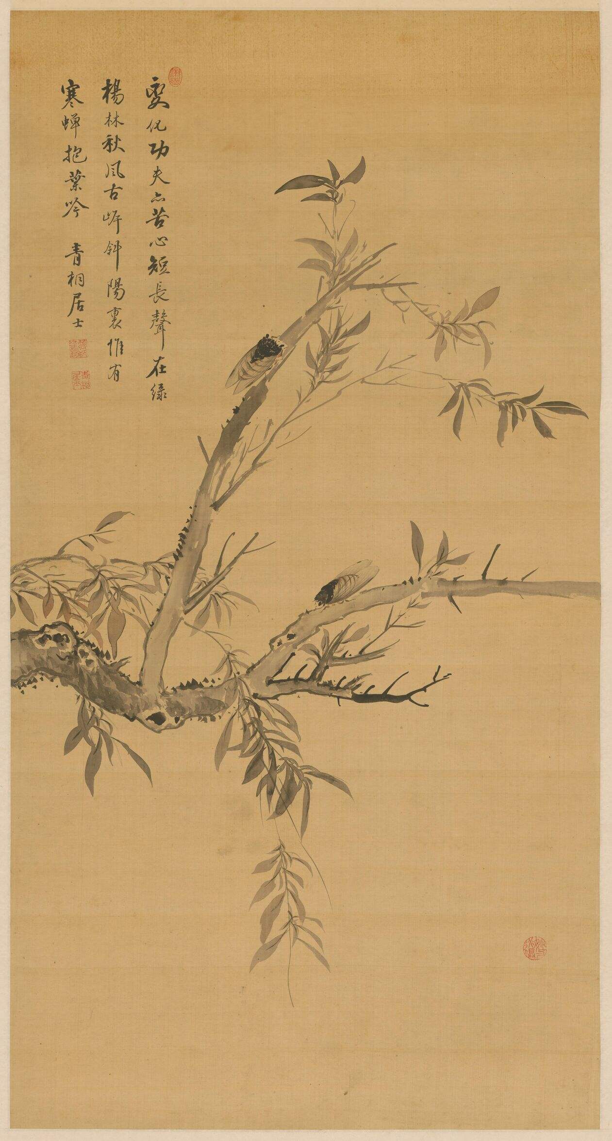 寒蝉抱叶图缩略图