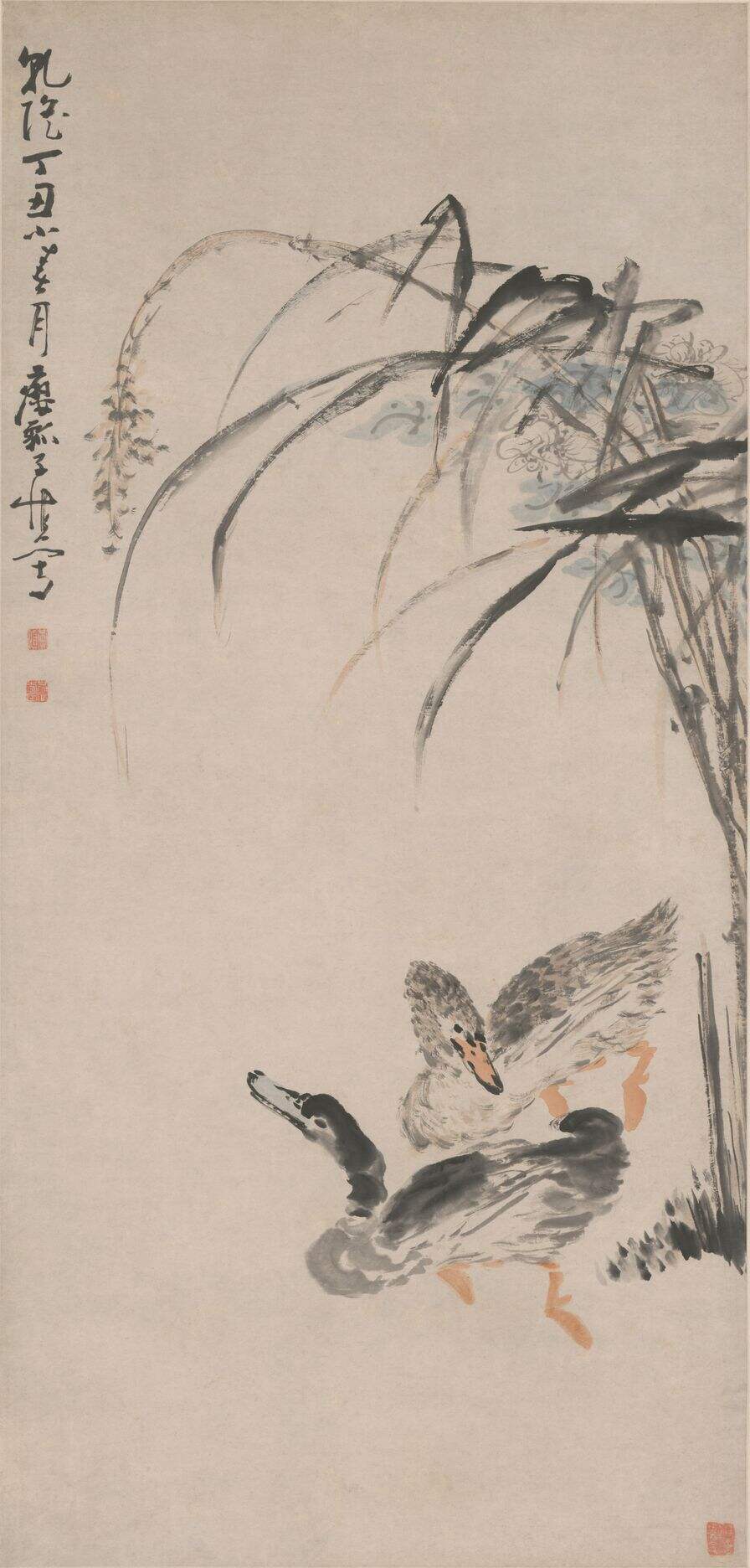 芦鸭图缩略图