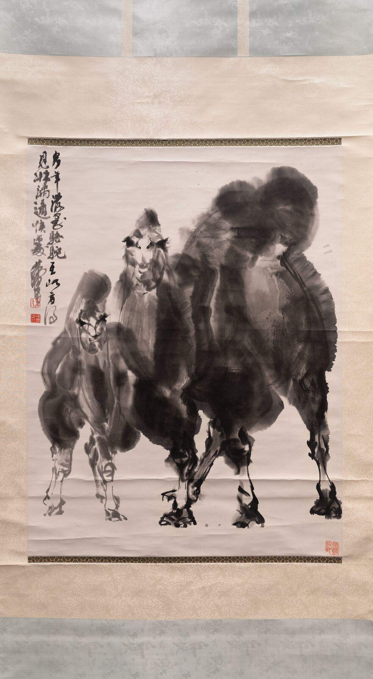 骆驼图缩略图