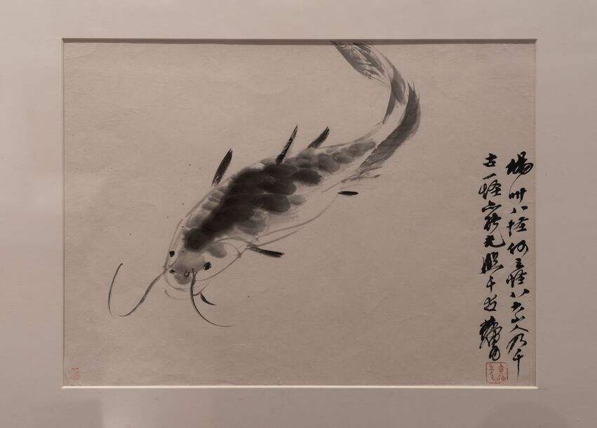 鲶鱼缩略图