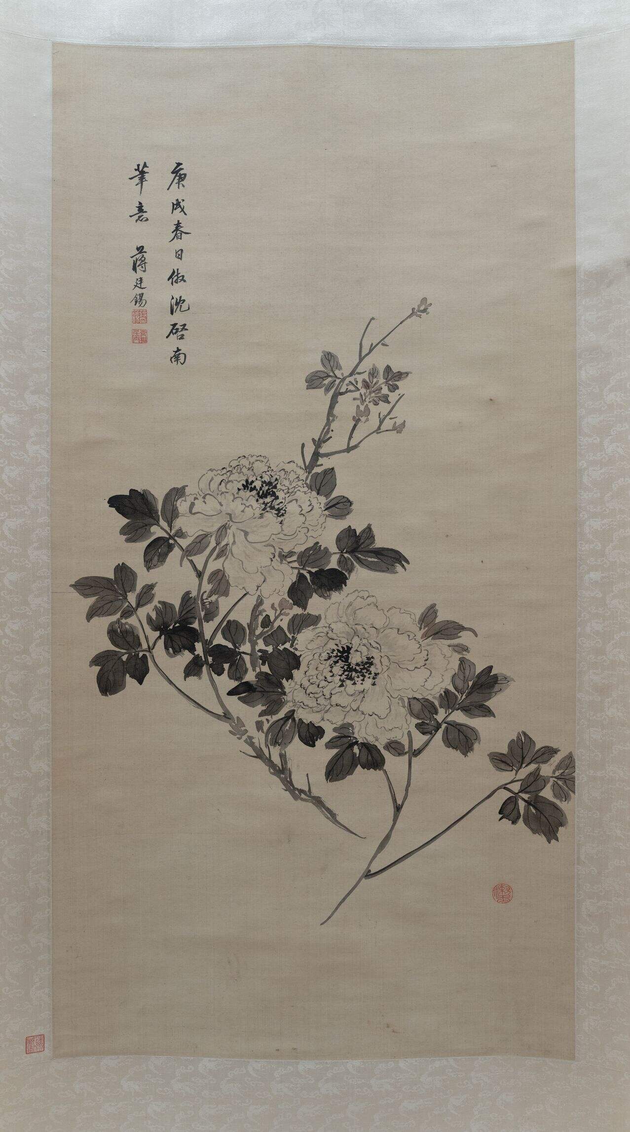 牡丹图缩略图