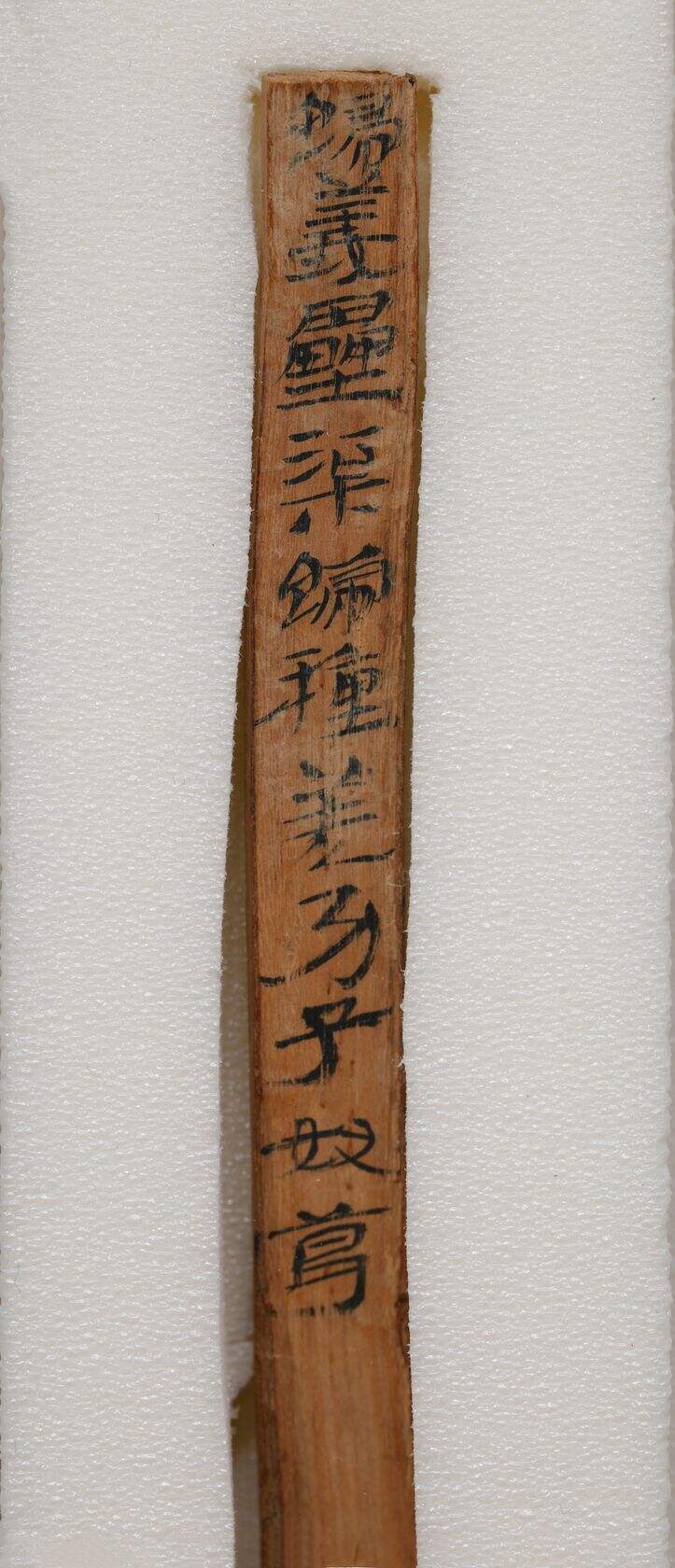 敦煌悬泉“归义垒渠”汉简缩略图