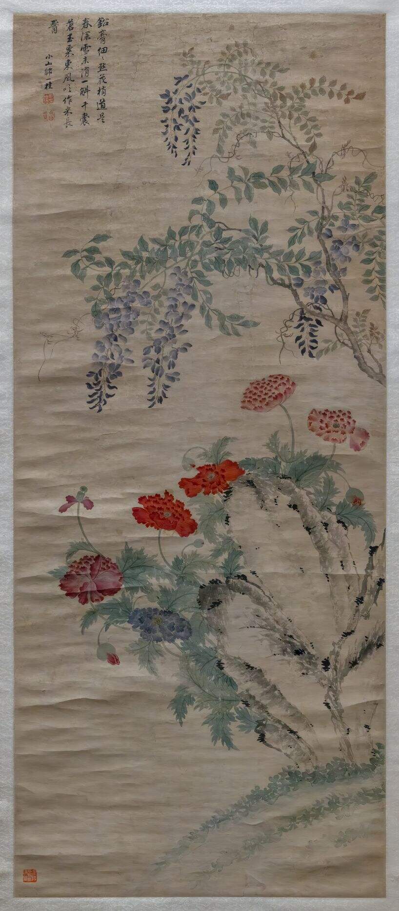 紫藤图缩略图