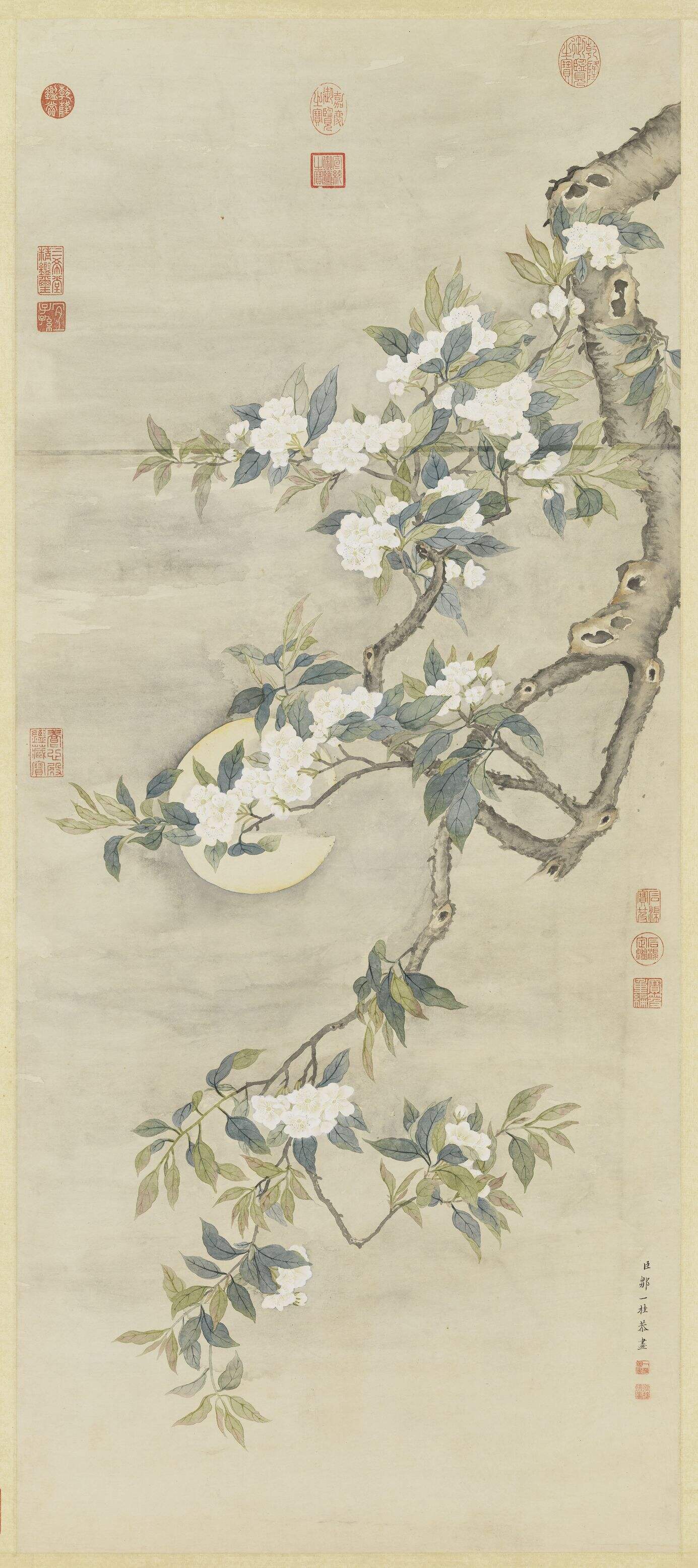 梨花夜月图缩略图