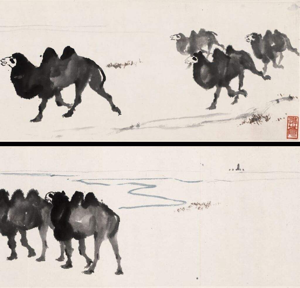 骆驼缩略图