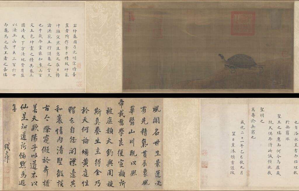神龟图缩略图