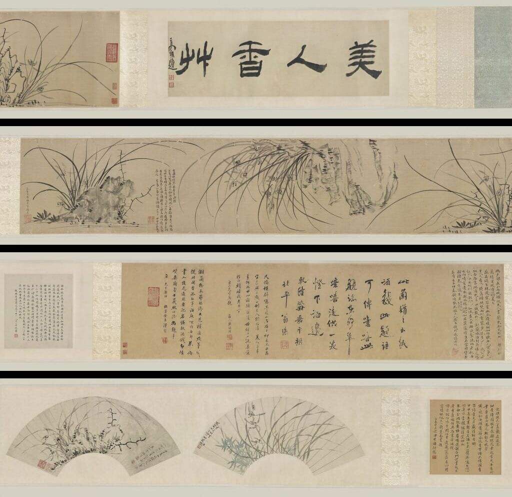 兰花图缩略图