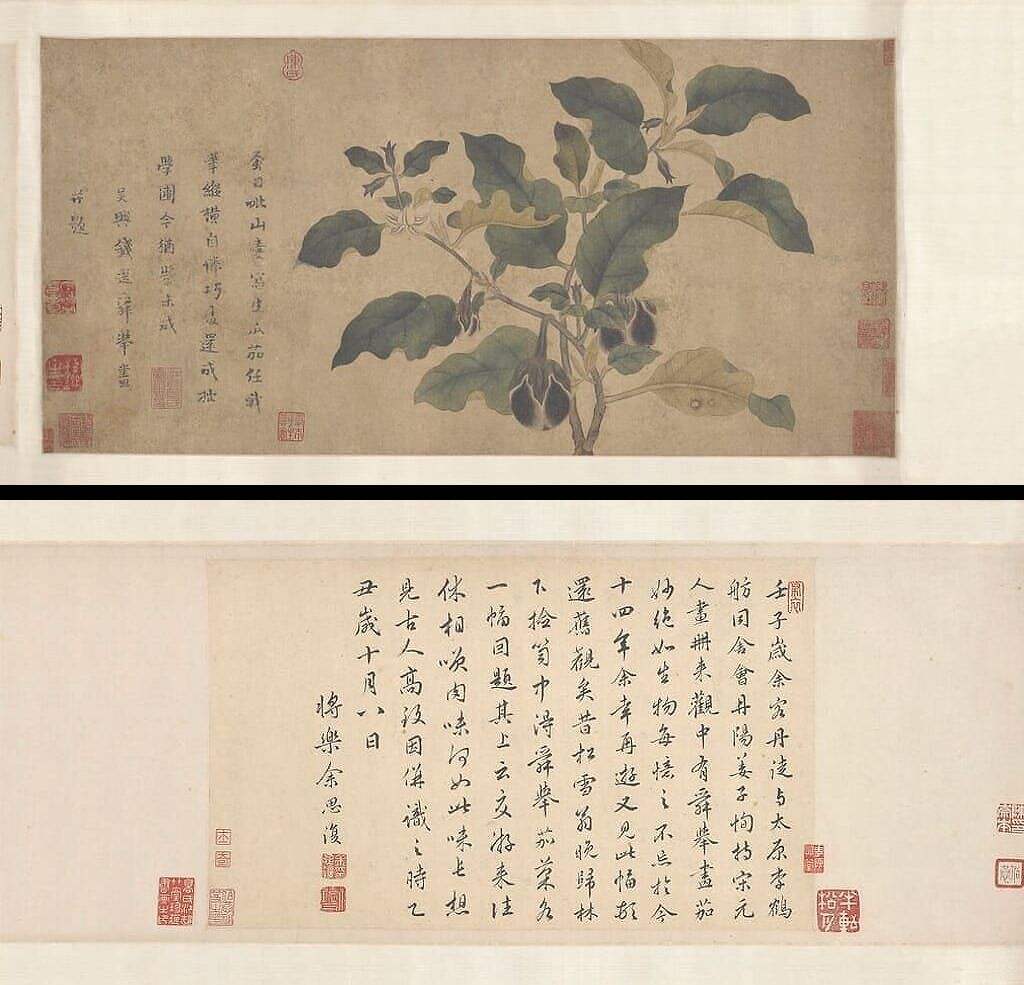 瓜茄图缩略图