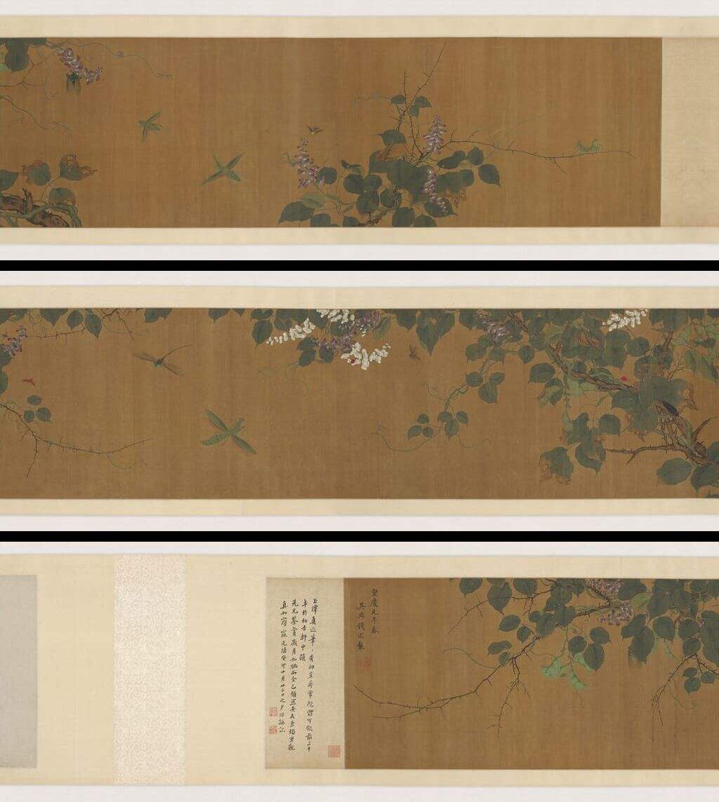 写生草虫图卷缩略图